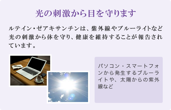 光の刺激から目を守ります