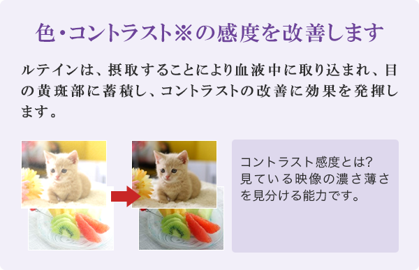 色・コントラスト※の感度を改善します